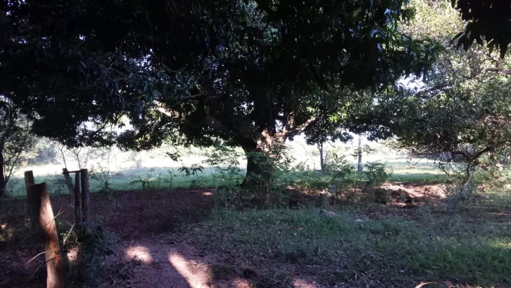 NUEVOS TERRENOS TITULADOS — foto 2