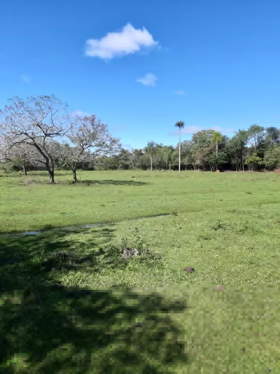 TERRENOS TITULADOS EN OFERTA!!! — foto 3