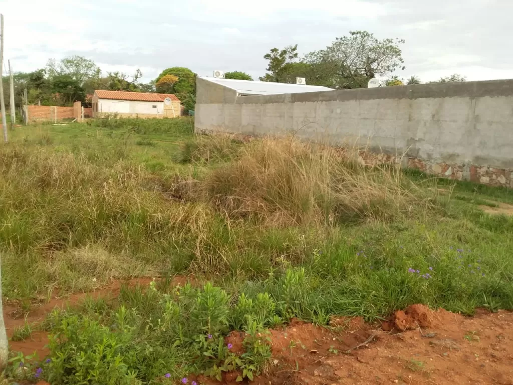 Terreno 12x32 sobre asfalto — foto 3