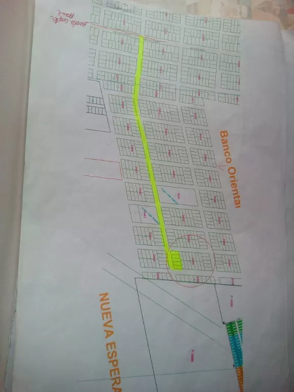 Vendo 4 terrenos juntos en Limpio — foto 2