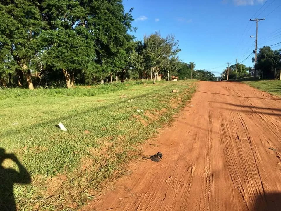 ultimos lotes en la lomita ÑEMBY — foto 2