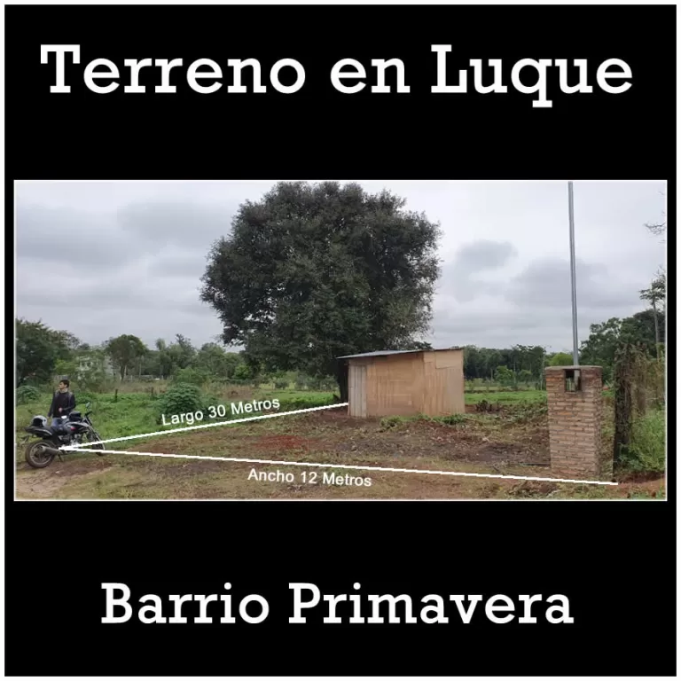 Terreno 12x30 en Luque Barrio Primavera — foto 2