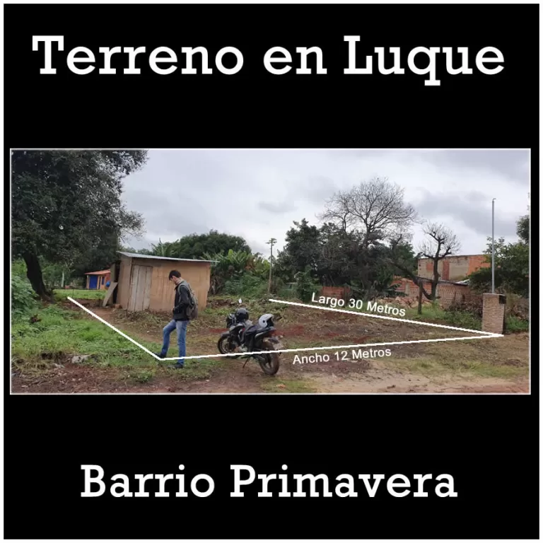 Terreno 12x30 en Luque Barrio Primavera — foto 3