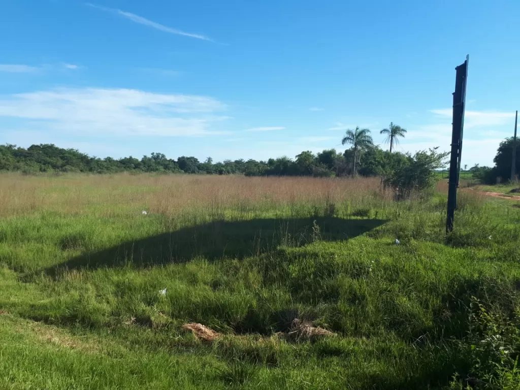 VENDO HERMOSO TERRENO EN GUARAMBARE. J4118. — foto 2