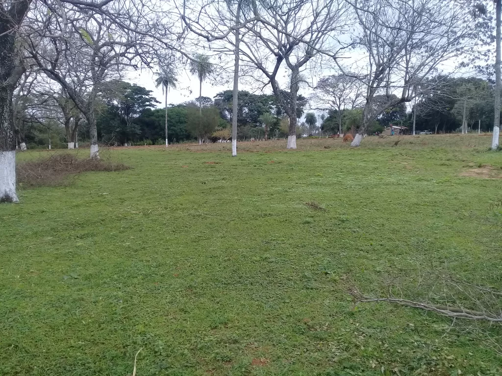Terrenos economicos — foto 2