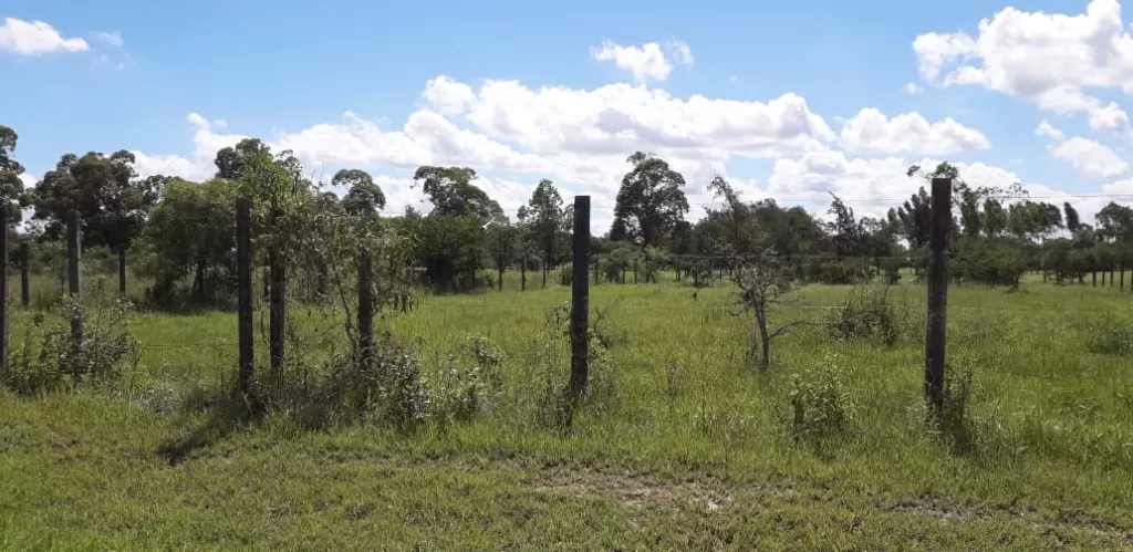Terreno En Surubi´I - Limita Con El Club Centenario — foto 3