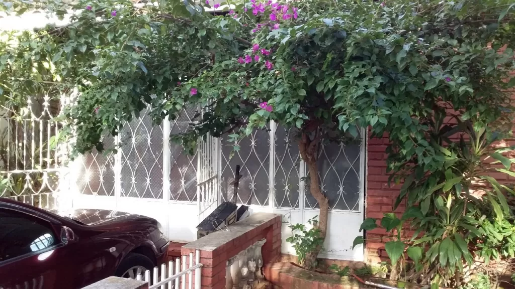 Vedemos casa en B° San Pablo. — foto 2