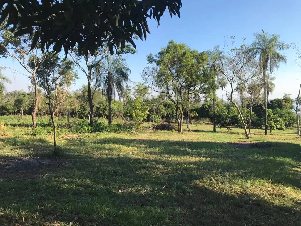 VENDO 10 hectáreas únicas con vista al lago-CIERVO CUA- Distrito San Bernardino -PY — foto 2