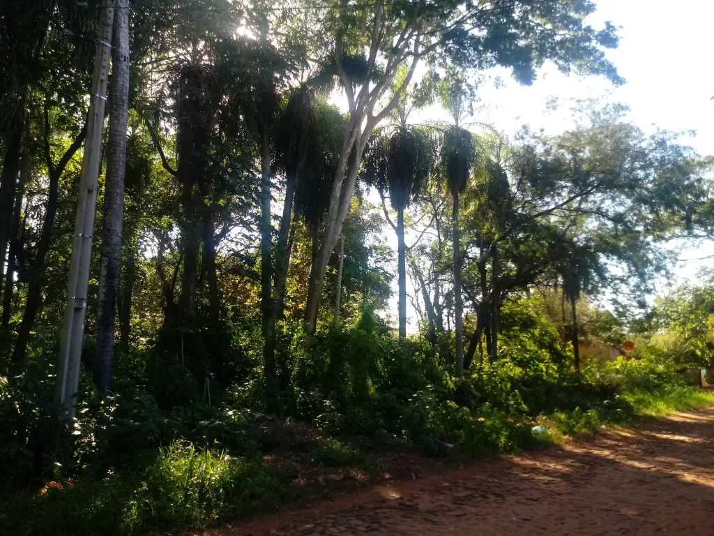 Oferta Terrenos en Luque!!..5 terrenos juntos o separados! A 3,5 km del centro luqueño — foto 2