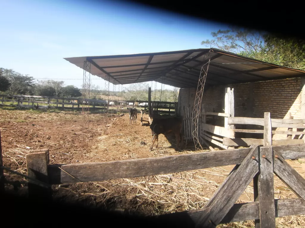 32 has, de terreno, espectacular propiedad rural en san jose de los arroyos, — foto 3