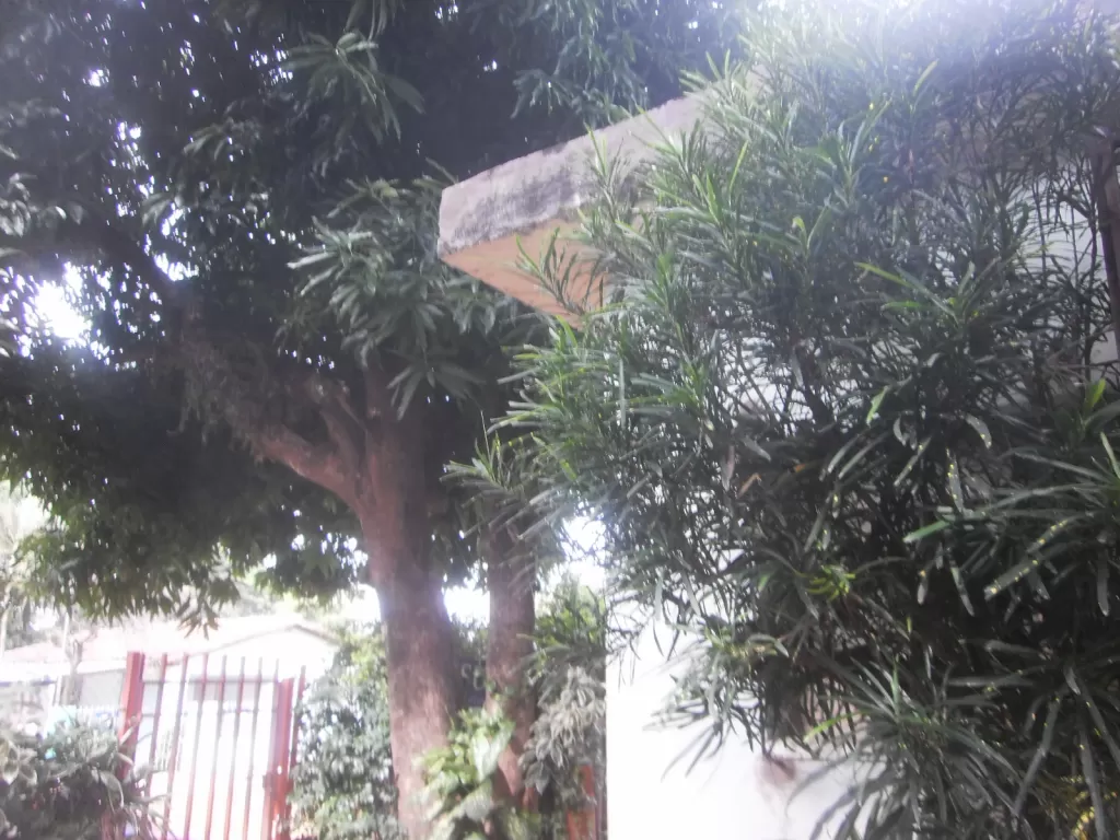 casa en san lorenzo barrio lucerito, Superficie 360 mts2, — foto 2