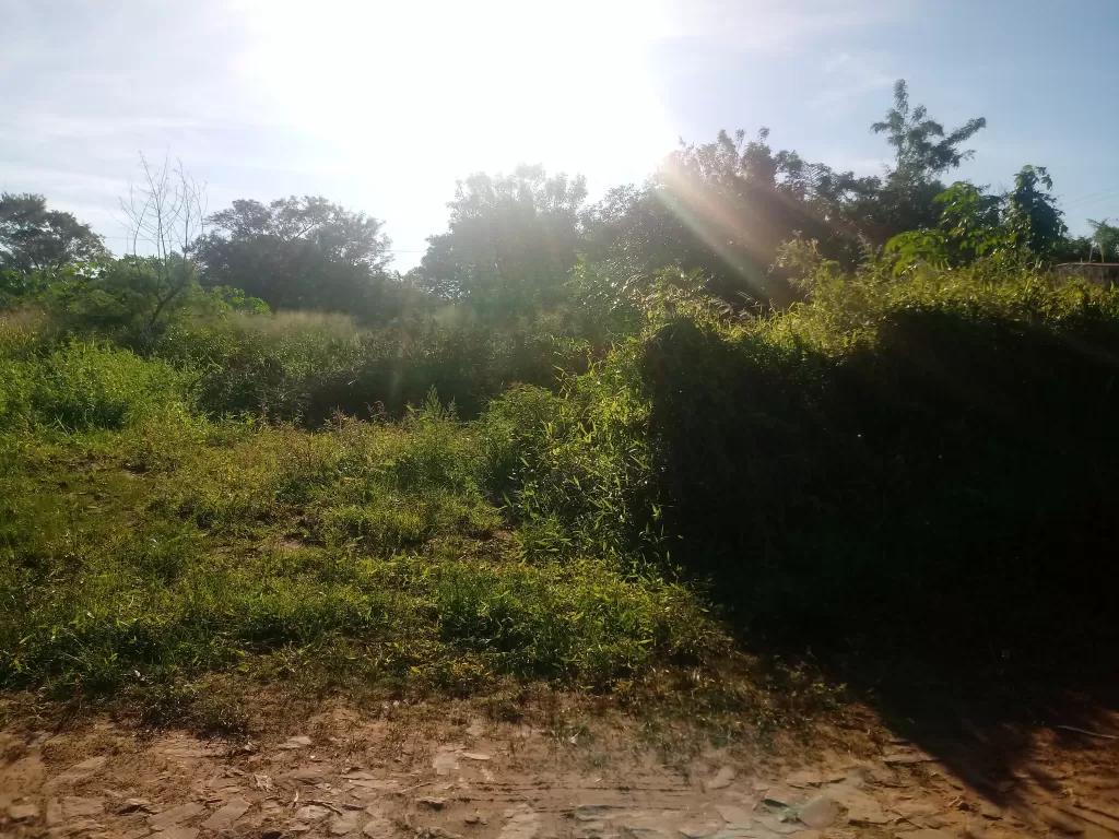 Oferta terreno en Luque. Zona Céntrica Loma Merlo. — foto 2