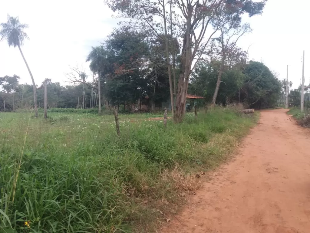 Vendo terreno 3 hectareas y media. Titulada y tasas municipales al dia. — foto 3