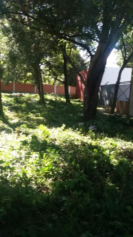 TERRENO SAN BERNARDINO CENTRO 375 mts2 — foto 2