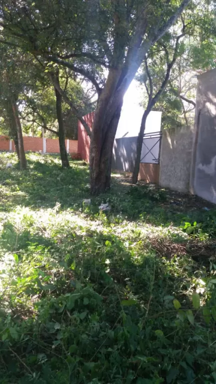 TERRENO SAN BERNARDINO CENTRO 375 mts2 — foto 3