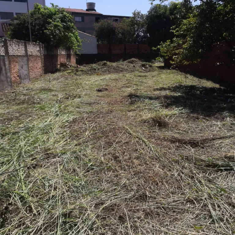 Vendo Hermoso Terreno en Bo. San Jorge - Asunción — foto 2