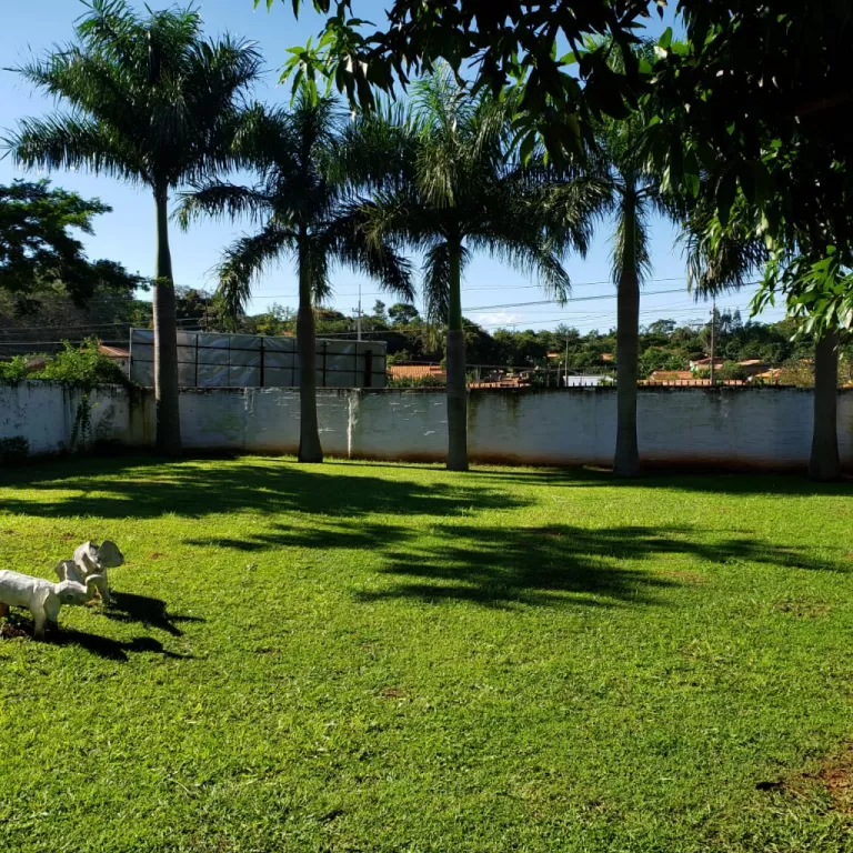 Vendo hermosa casa sobre ruta 1 Km 35,5 ciudad de Ita 1080 m2 de superficie en equina — foto 3