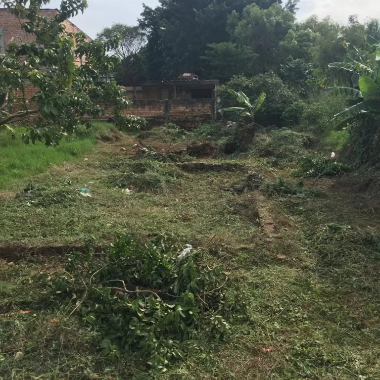 Terreno impecable en un lugar ideal — foto 2