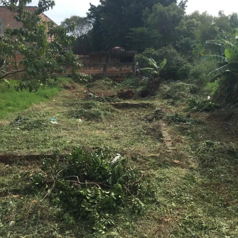 Terreno impecable en un lugar ideal — foto 3