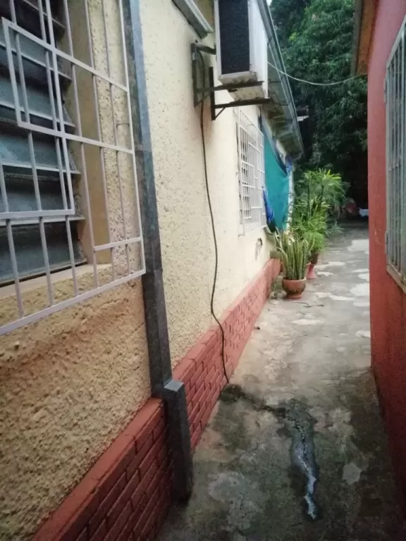 VENDO CASA EN FERNANDO ZONA SUR — foto 3