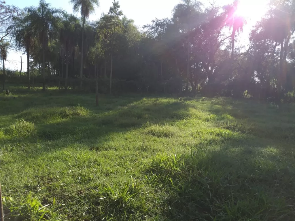 Vendo 5 terrenos en Barrio Loma - Caacupe — foto 2