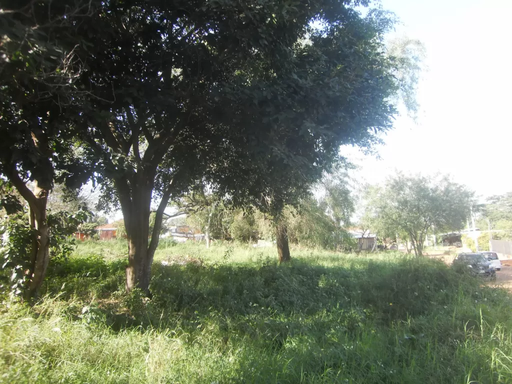 Superficie 5600 mts2, alucinante terreno en pai ñu, ñeemby!!! — foto 2