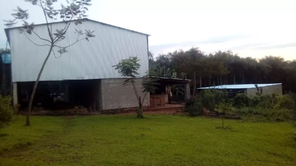 Caaguazú 20 ha — foto 2