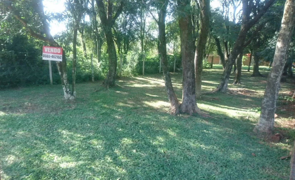 Terreno Encarnacion en Barrio kaaguy Rory 12x36 metros — foto 2
