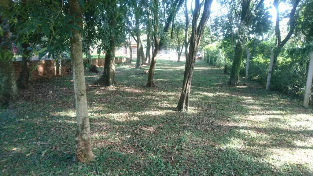 Terreno Encarnacion en Barrio kaaguy Rory 12x36 metros — foto 3