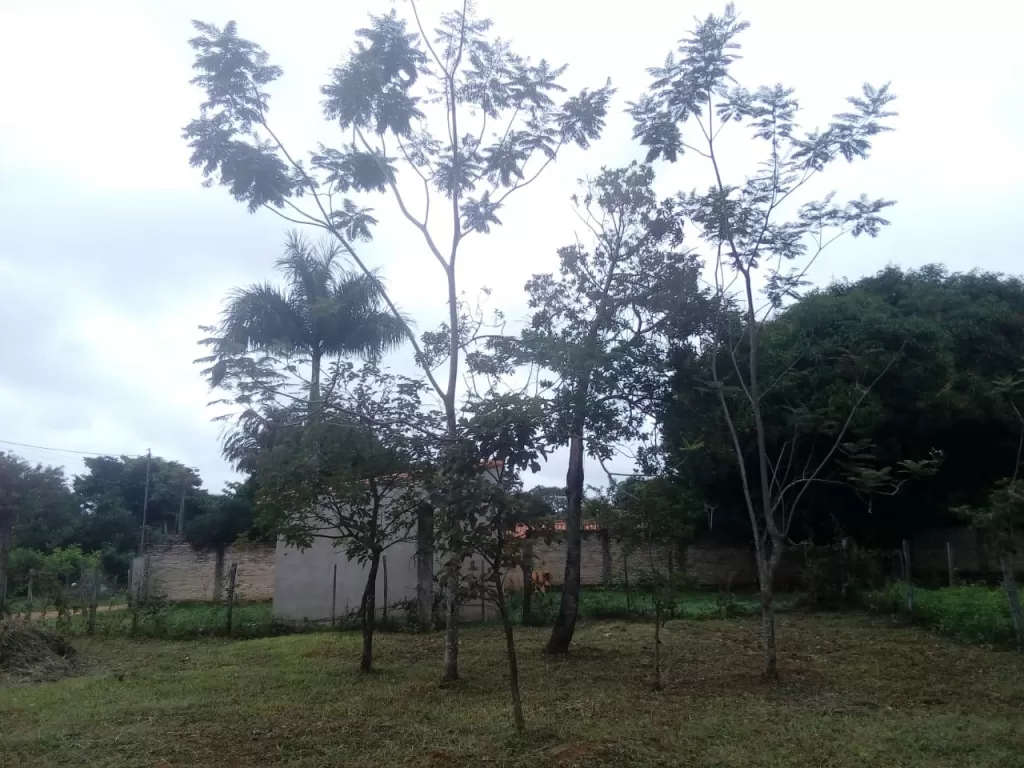 VENDO TERRENO EN ZONA RAKIURA A 200 MTR DE ASFALTO — foto 2