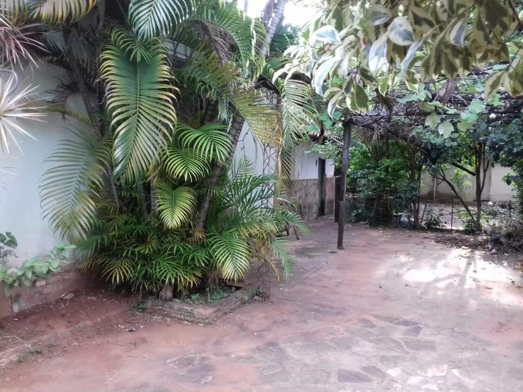 VENDO CASA EN LUQUE — foto 3