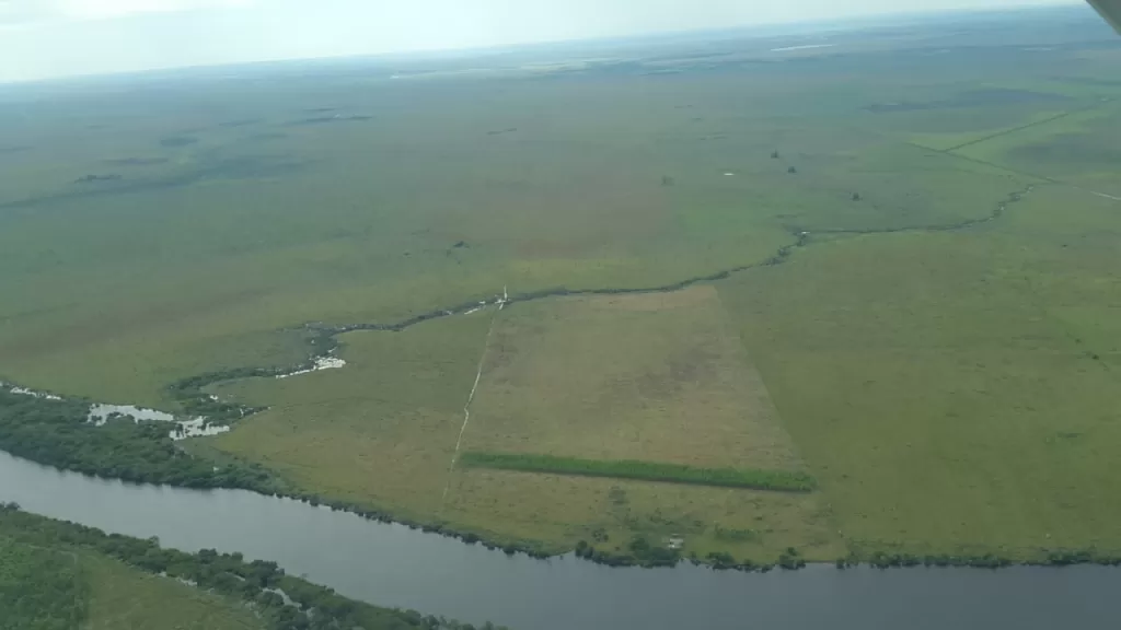OFERTA 300 HA EN ARROYOS Y ESTEROS — foto 2