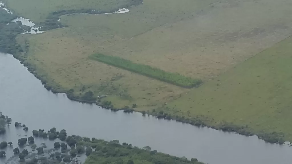 OFERTA 300 HA EN ARROYOS Y ESTEROS — foto 3