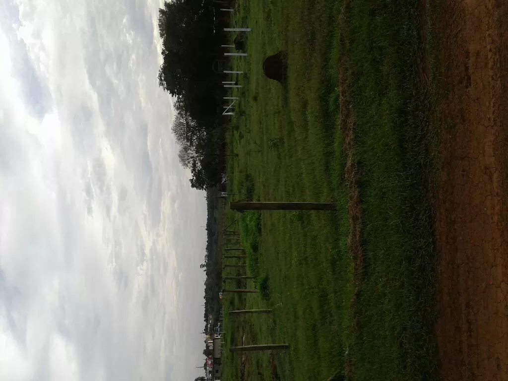 Vendo terreno sobre la super carretera — foto 2