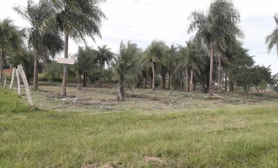 Hermoso terreno san ignacio — foto 2
