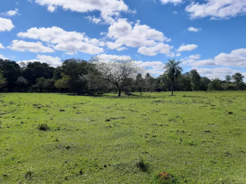 Terreno Barato — foto 2