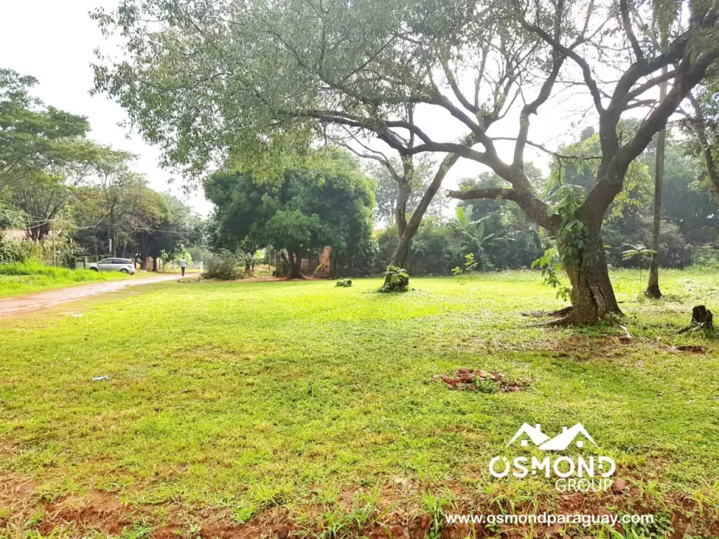 HERMOSO TERRENO EN OFERTA EN LUQUE!! — foto 2