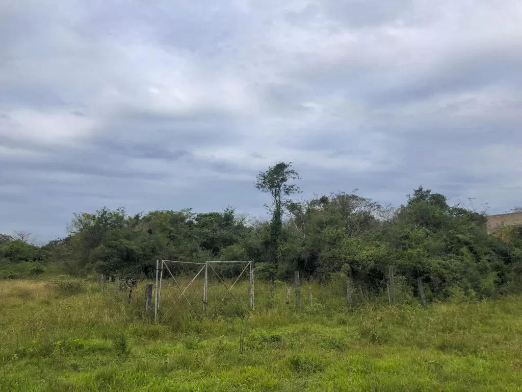 Terreno en Zarate Isla — foto 2