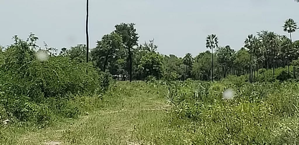 VENDO CAMPO EN GRAL BRUGUEZ CHACO PYO — foto 3
