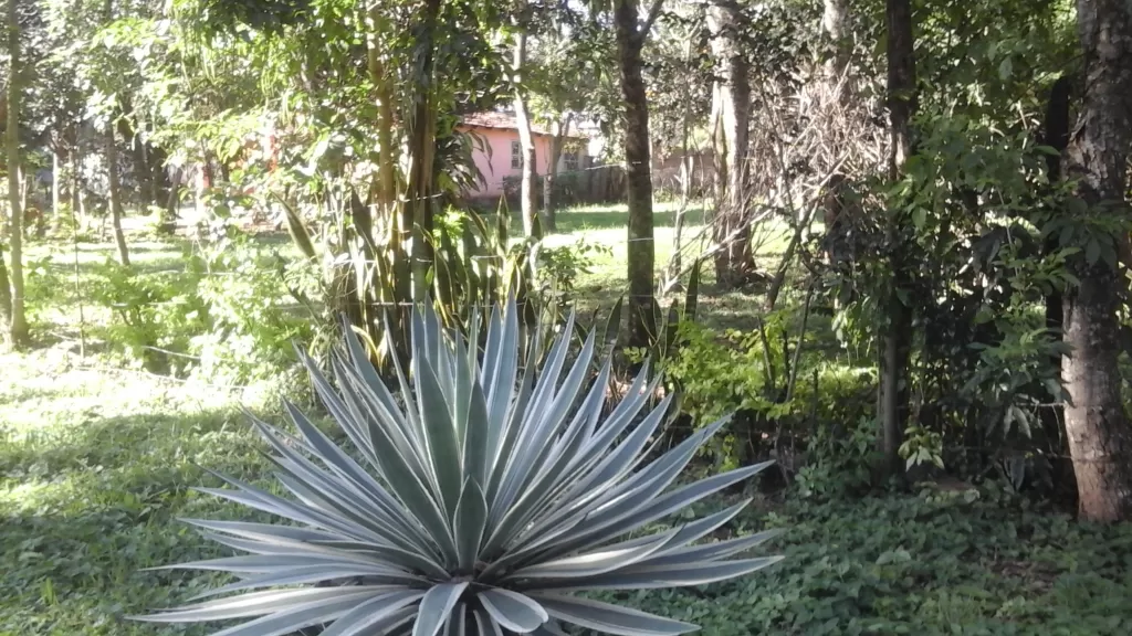 B°Arroyo Pora, Vendo terreno 13 X 28 aproximadamente a 400 Mt del estadio Nueva Estrella — foto 2