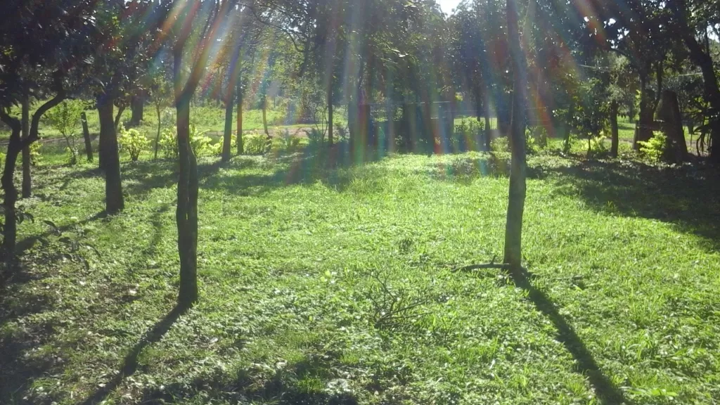 B°Arroyo Pora, Vendo terreno 13 X 28 aproximadamente a 400 Mt del estadio Nueva Estrella — foto 3