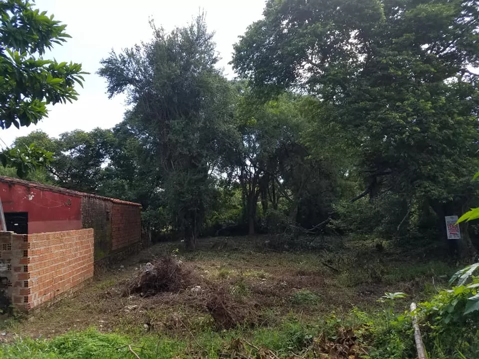 Mariano Roque Alonso — foto 3