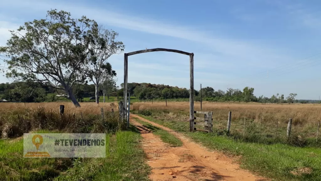 Vendo Hermosa Propiedad de 25,5 hectareas en villarrica — foto 3