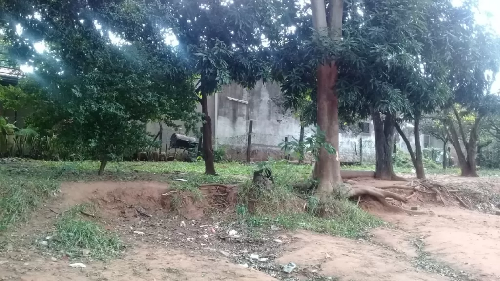 VENDO HERMOSO TERRENO EN FDO DE LA MORA SUR SOBRE ISLA POI A MTS DE AVELINO — foto 3