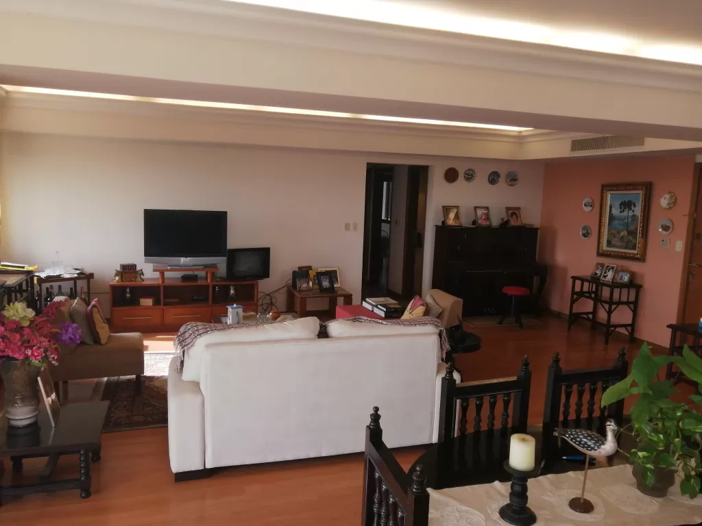 DEPARTAMENTO EDIF BALCONES DEL PARQUE ZEMBAJADA ARGENTINA — foto 3