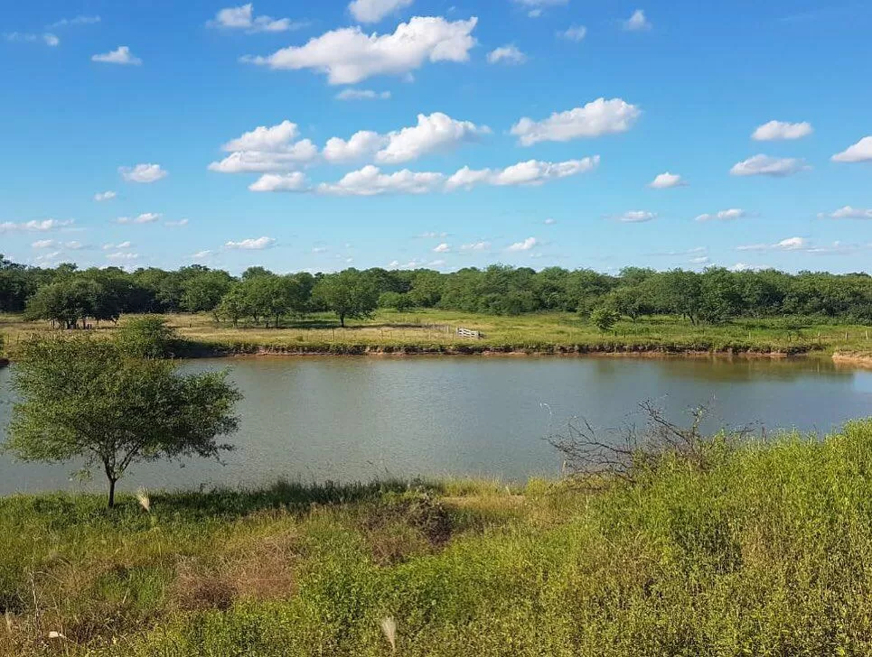 VENTA DE INMUEBLE PARA GANADERIA - ZONA SALAZAR - CHACO PARAGUAYO — foto 2