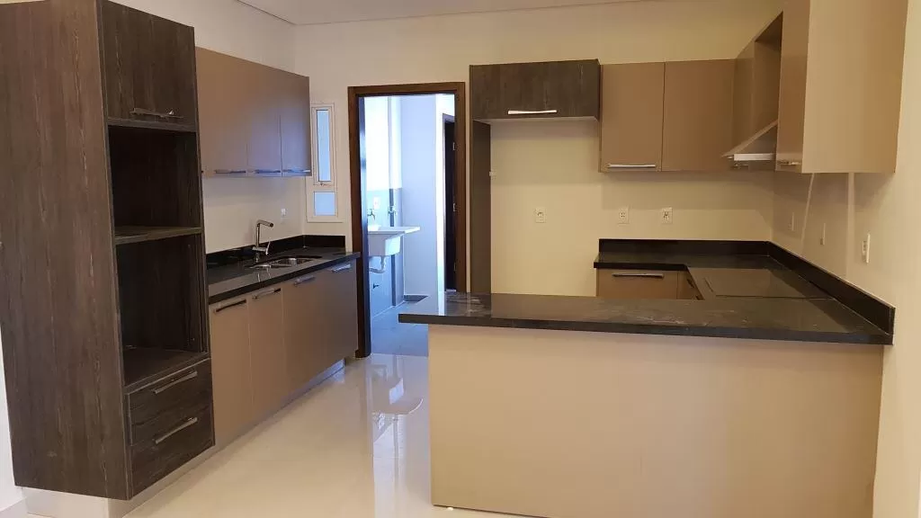 Se alquila departamento zona Av Boggiani — foto 2