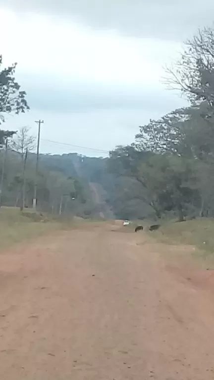 VENDO PROPIEDAD EN SAN PEDRO DISTRITO DE CAPIIBARY A PASOS DE LA RUTA... — foto 2