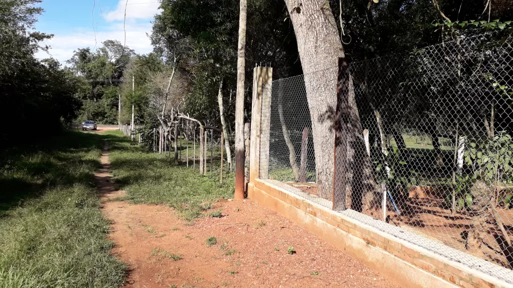 VENDO TERRENO EN TRUMANDY - LUQUE — foto 2