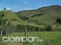 vendo por motivo de viaje — foto 2